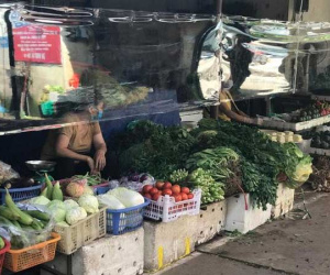 Vì sao giá rau xanh Hà Nội tăng 'chóng mặt'?