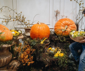 Gần đến Halloween, người Hà Nội chi cả chục triệu mua bí ngô có cân nặng 'khủng' về trang trí nhà cửa