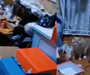Chủ nhà phát ói khi chứng kiến 'hiện trường' khách bùng trọ để lại: Đâu đâu cũng là phân động vật cùng rác rưởi, vòi nước chảy lênh láng góp thêm phần 'mùi mẫn'