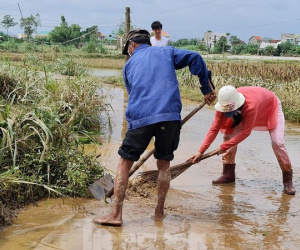 Lũ rút, người dân Quảng Ngãi hối hả dọn dẹp sau khi từ nơi sơ tán trở về