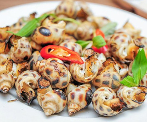 Những 'đại kỵ' khi ăn ốc, biết mà tránh kẻo rước thêm bệnh vào thân