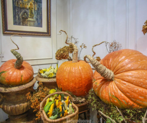Người dân Thủ đô săn bí ngô 'siêu khổng lồ' giá chục triệu để trang trí Halloween