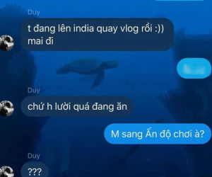 Thanh niên tưởng khoe sang Ấn Độ, ai ngờ lát sau mới tá hỏa vì sai từ tiếng Anh cơ bản, sự thật đằng sau đọc mà cười lăn