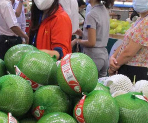 Bưởi da xanh dội chợ, giá rẻ chưa từng thấy