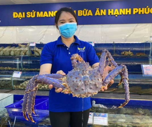 Quá lạ: Loài cua tím toàn thân, chân đỏ rực xuất hiện ở Việt Nam
