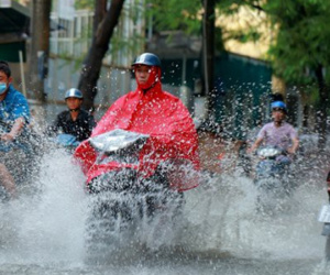 Ảnh bìa bài viết 794610