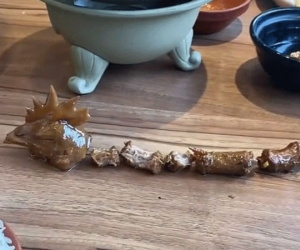 Đi ăn, được quán mang cho con gà cổ siêu dài, người đàn ông không ngừng thắc mắc còn dân mạng cười mệt vì một lý do