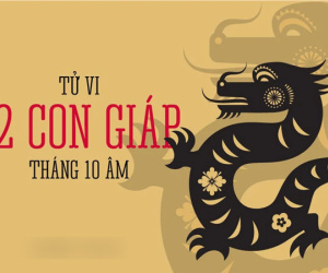Tổng quan tử vi 12 con giáp tháng 10 âm: Đa số là tiền tài rực rỡ, có 2 con giáp con có cát tinh soi đường