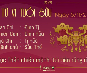 Tử vi thứ 6 ngày 05/11/2021 của 12 con giáp: Dậu được giúp đỡ tiền bạc, Tý va chạm tiểu nhân