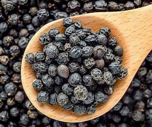 Tỷ USD lại về:‘ Vàng đen’ Việt Nam một thời hoàng kim mới