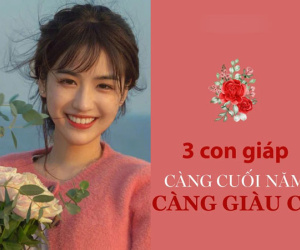 Năm Tân Sửu có 3 con giáp này phải chịu họa tiểu nhân nhưng càng cuối năm càng giàu có, viên mãn
