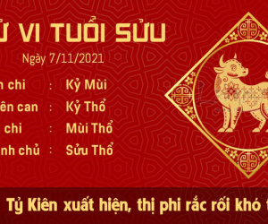 Tử vi Chủ Nhật ngày 07/11/2021 của 12 con giáp: Thân gặp khó khăn, Tý thu tiền về