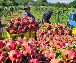 Trung Quốc dựng nhiều rào cản, bạn hàng tỷ dân ngày càng khó tính