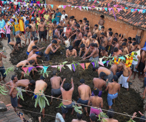 Dân làng Ấn Độ chen nhau tham dự lễ hội ném phân bò
