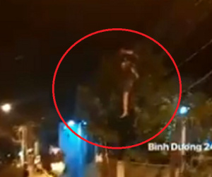 Gã đàn ông có biểu hiện bất thường nhào lộn trên đường dây điện lúc 2h sáng