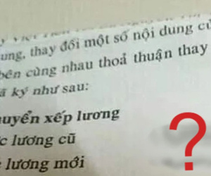 Sếp thông báo tăng lương, cô gái chưa kịp mừng đã liền khóc ngất khi nhìn vào dòng chữ này