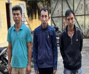 Phát hiện 'ăn quả lừa' lan var, nhóm đối tượng cay cú cưỡng đoạt tài sản của chủ cây