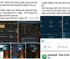 Sập sàn cá độ bóng đá phản tỉ số: Hàng loạt sàn tương tự mọc lên