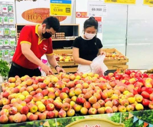 Tiền về kho vượt 1,2 triệu tỷ, khó khăn nhưng thu ngân sách vẫn tăng