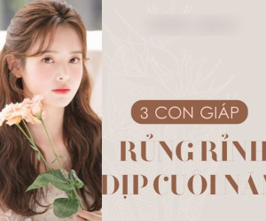 Năm Tân Sửu 2021, có 3 con giáp mở đầu may mắn, giữa năm chững lại, cuối năm về đích rực rỡ, giàu có sung túc