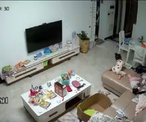 Clip: Chị gái phản ứng cực thông minh, cứu em thoát nạn sau cú ngã