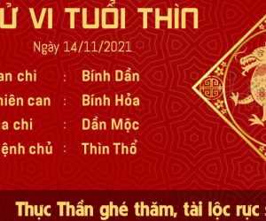 Tử vi Chủ Nhật ngày 14/11/2021 của 12 con giáp: Thìn đón tài lộc, Ngọ có tin vui