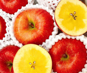 Quả táo cùng tên: Hàng Nhật 1,5 triệu/kg, đồ Tàu đổ đống rẻ như rau