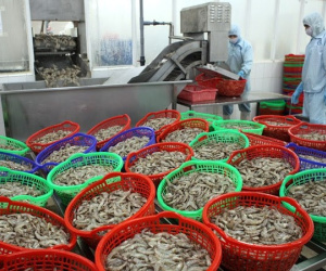 Thế mạnh Việt, nguồn thu tỷ USD đón điềm báo xấu từ Trung Quốc
