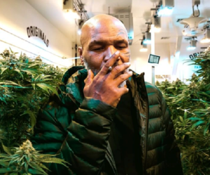 Mike Tyson tuyên bố bất ngờ: 'Cần sa giúp tôi bỏ lối sống buông thả'