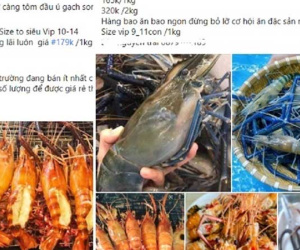 Tôm càng xanh cỡ đại rẻ khó tin, khách mua ngán ngẩm lắc đầu