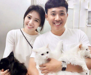 Trấn Thành đau buồn, bật khóc khi mèo cưng gắn bó 3 năm rơi từ tầng 32 xuống đất đã qua đời