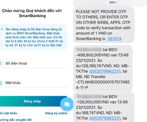 Bấm vào link 'hỗ trợ nhận bảo hiểm thất nghiệp', một người phụ nữ bị mất hơn 600 triệu đồng
