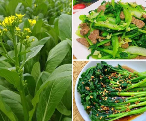 Muốn sống thọ, trẻ lâu: Từ tuổi 40 chị em hãy ăn 5 loại rau giúp thải độc mỗi ngày
