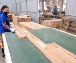 Năm nhóm giải pháp phục hồi kinh tế