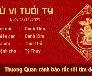 Tử vi Chủ Nhật ngày 28/11/2021 của 12 con giáp: Tý gặp rắc rối, Dần có vận may tiền bạc