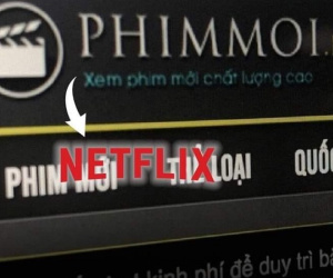 Netflix nói gì về thông tin mua tên miền của phimmoi?