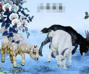 Con giáp sinh ứng vào những tháng âm lịch này thì tiền tài dồi dào, giỏi tiết kiệm tiền