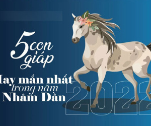 Sang năm Nhâm Dần 2022, có 5 con giáp được thần may mắn chiếu cố, đặc biệt là 1 con giáp có 2 Cát tinh, phải nắm chắc cơ hội để bứt phá