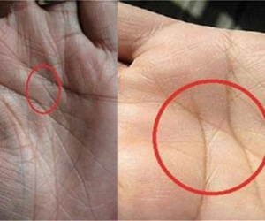 Toàn thế giới chỉ có 3% người có đường chỉ tay 'cực phẩm' này, không thành kiệt xuất cũng là lãnh đạo tài ba