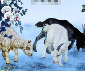 Từ ngày 3/12 đến ngày 19/12, bốn con giáp vận khí hanh thông rực rỡ, may mắn, tài lộc đại phú đại quý