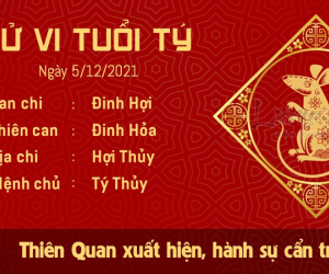 Tử vi Chủ Nhật ngày 05/12/2021 của 12 con giáp: Tý đón tài lộc, Tị cẩn thận tiền bạc