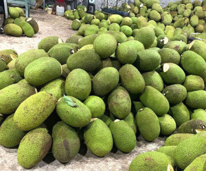 Trung Quốc ra quyết định mới, triệu tấn hàng Việt rơi vào thế khó