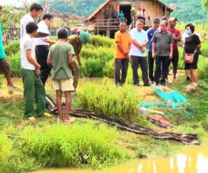 Nữ sinh mất tích bí ẩn: 2 ngày sau thi thể được phát hiện ở nơi không ngờ tới