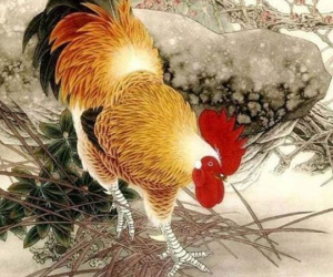 Top 5 con giáp tuổi trung niên được dự đoán sẽ phát tài, vận may tăng vọt