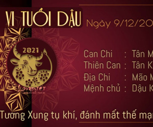 Tử vi thứ 5 ngày 09/12/2021 của 12 con giáp: Dần tình duyên rực rỡ, Thìn gặp nhiều sóng gió
