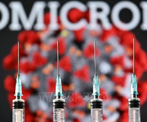 Pfizer: Mũi vaccine tăng cường có thể ngừa biến thể Omicron tới 25 lần