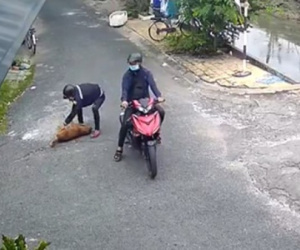 2 thanh niên trộm con chó giữa ban ngày gây bức xúc