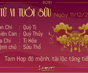 Tử vi thứ 7 ngày 11/12/2021 của 12 con giáp: Sửu đón tài lộc, Ngọ gặp quý nhân