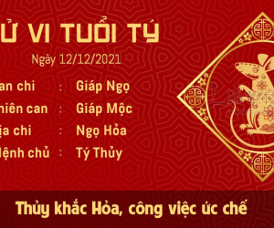 Tử vi Chủ Nhật ngày 12/12/2021 của 12 con giáp: Tý đề phòng rắc rối, Dậu đón tài lộc