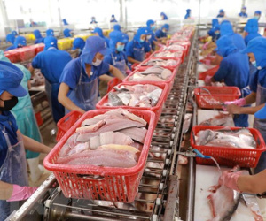 Kim ngạch xuất khẩu thủy sản của Việt Nam dự kiến cán đích 8,67 tỷ USD
